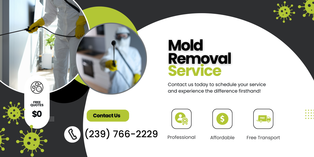 Mold Guys Of SWFL photo 2