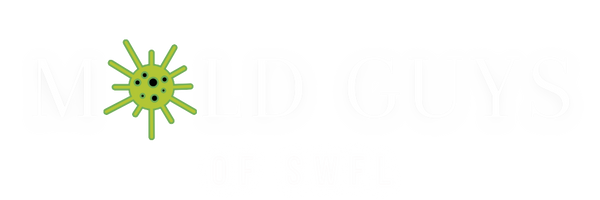 Mold Guys Of SWFL - Water Restoration in North Port